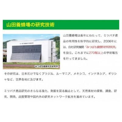 ふるさと納税 鏡野町 【毎月定期便】ノンアルツ Bee 90球入(01007)全6回 |  | 03