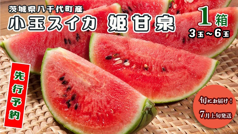 ＜先行予約＞【2027年7月上旬以降発送】八千代町産 小玉スイカ 姫甘泉 1箱 （3～6玉入り） すいか スイカ 西瓜 小玉 果物 フルーツ お取り寄せ 産地直送 茨城県 [AV002ya]