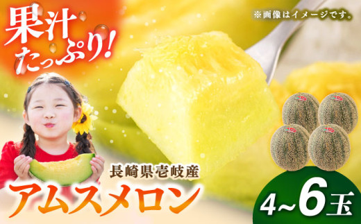 【先行予約】【数量限定】 壱岐産 アムスメロン 4～6玉（5kg～6kg前後）【2027年6月順次発送】 《壱岐市》【壱岐市農業協同組合】[JBO017] 大玉！女性に人気！ 青肉メロン 果物 くだもの フルーツ メロン めろん お取り寄せ