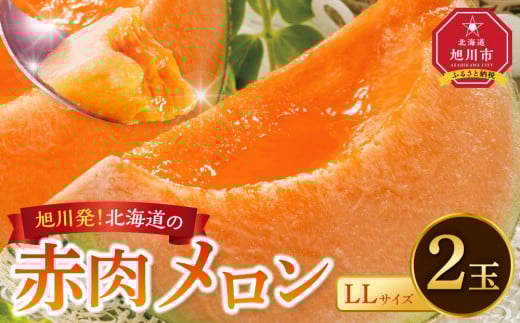 【先行予約】北海道産 赤肉メロン LLサイズ 2玉（計4.0kg以上）(2025年7月上旬発送開始予定) 【 果物 くだもの フルーツ メロン 赤肉 赤肉メロン 旬 お取り寄せ 甘い 北海道産 旭川市 北海道 送料無料 】_02099
