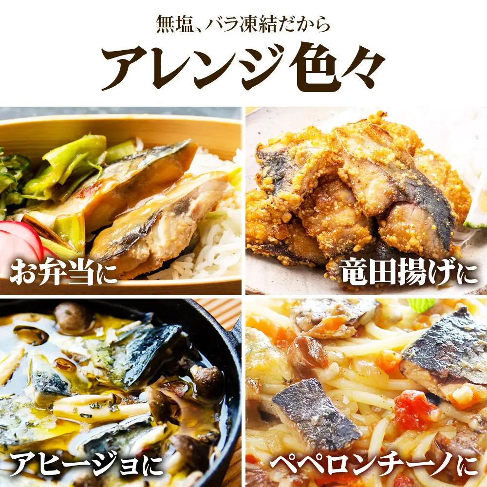 三陸常磐産 サバ 骨取切り身 30g×20枚入 鯖 冷凍 魚 おかず 魚のおんちゃま