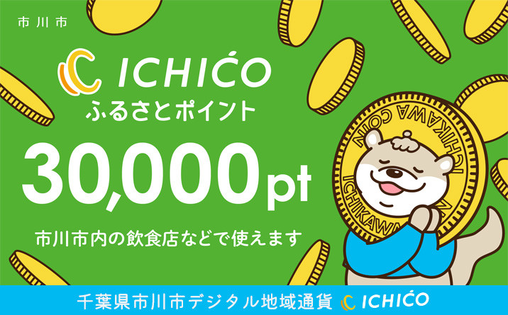 デジタル地域通貨ICHICOふるさとポイント30,000pt　【12203-0219】