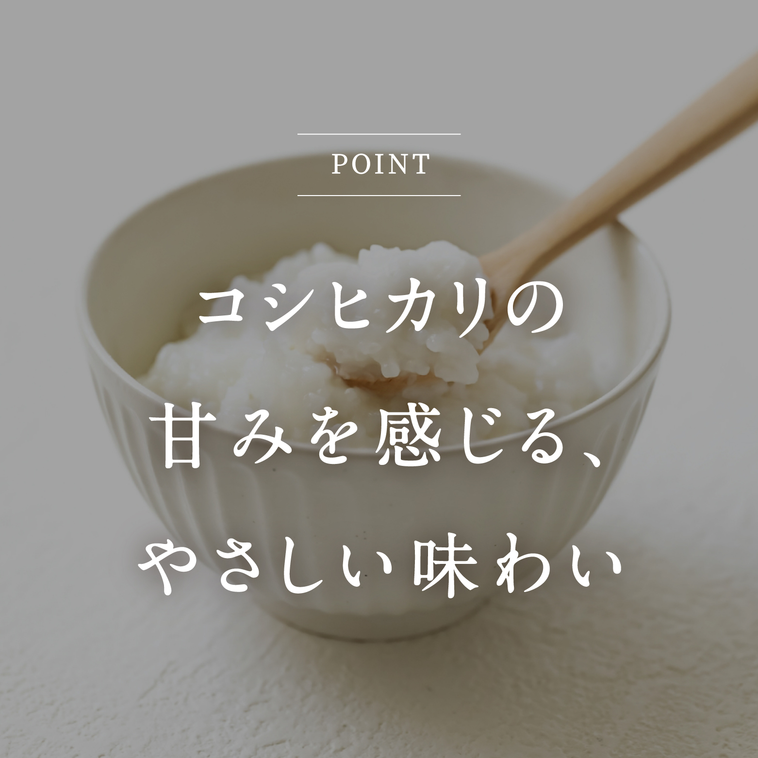 【お試し】電子レンジで簡単調理 コシヒカリの白粥 おかゆ お粥 200g×18個 レトルト 白かゆ 鳥取県日野町 おこめのみかた