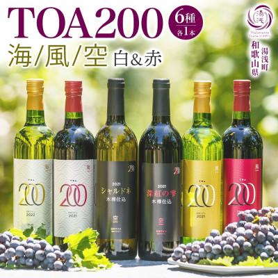 ふるさと納税 湯浅町 赤白ワイン6種セット TOA200 海・風・空 熟成ワイン 6本 赤ワイン 白ワイン 湯浅ワイナリー