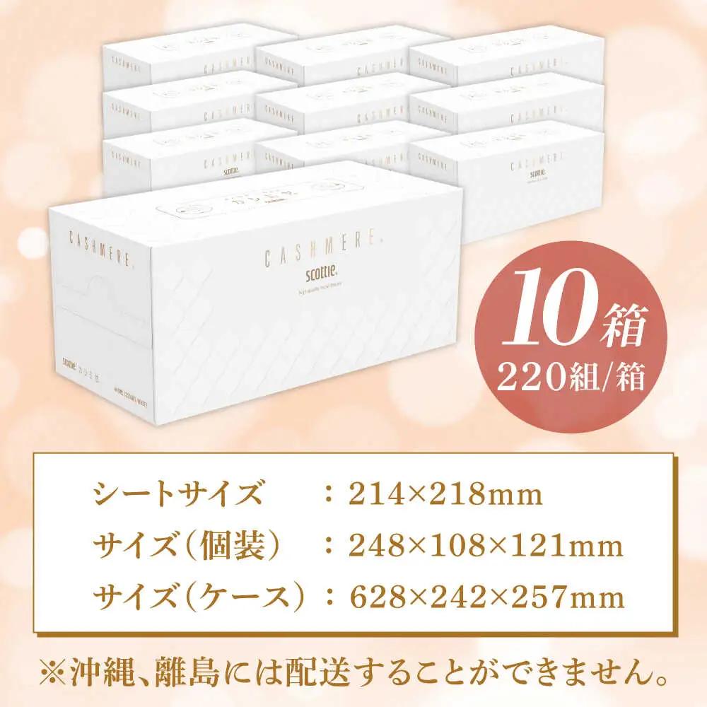 カシミヤスコッティ 10箱 ティッシュ ティッシュペーパー[BDAM020]