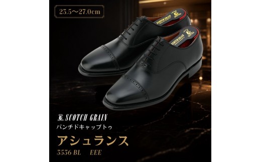 
                  スコッチグレイン ビジネスシューズ メンズ アシュランス 3536 パンチドキャップトゥ 革靴 本革 日本製 EEE 送料無料 ギフト [№5619-0482]
                
