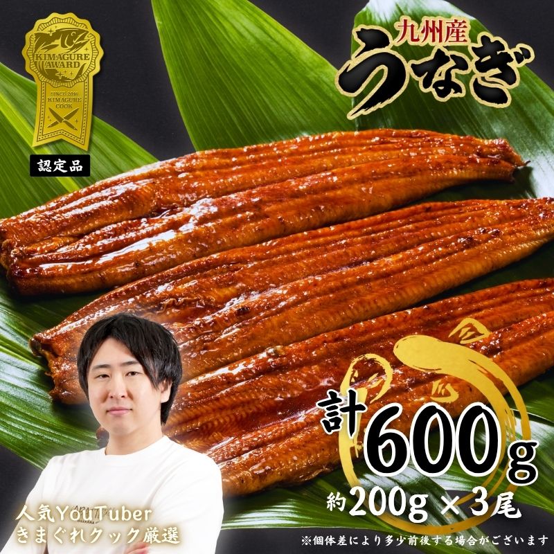 【ふるさと納税】きまぐれクック厳選 うなぎ 国産 3尾 (約600g) 九州産 手焼き 鰻 蒲焼き [a1000] 夏ギフト お中元 【返礼品】福岡県 添田町 ふるさと納税