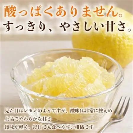 【先行予約】 熊本県産 やさしい甘さと爽やかな味わいのみかん! 訳あり はるか 約4kg(益城町)【1723661】