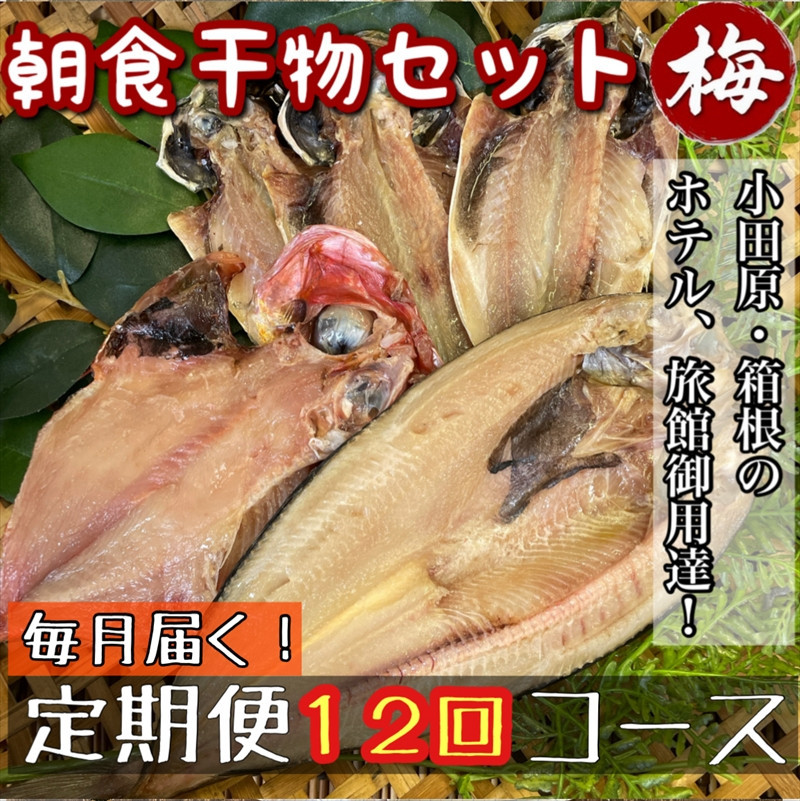 【毎月定期便12回】小田原、箱根の旅館、ホテル御用達！朝食干物セット 梅【 まぐろや 神奈川県小田原市 】 142069_DQ219