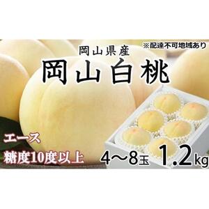 2026年  岡山   白 桃   エース4～8玉 約1.2kg JAおかやま（早生種・中生種） ｜ 桃