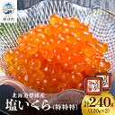 【ふるさと納税】【令和6年新物】塩いくら120g×2パック 塩漬け イクラ 北海道 人気 おすすめ 小分け 天然【配送不可地域：離島】【1572815】