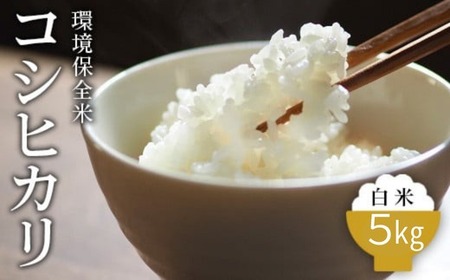 令和7年産 環境保全米 コシヒカリ白米5kg ※北海道・沖縄・離島への配送不可
