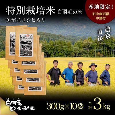 ふるさと納税 十日町市 令和6年産　農家直送!魚沼産コシヒカリ特別栽培「白羽毛の米」精米300g×10袋　3kg