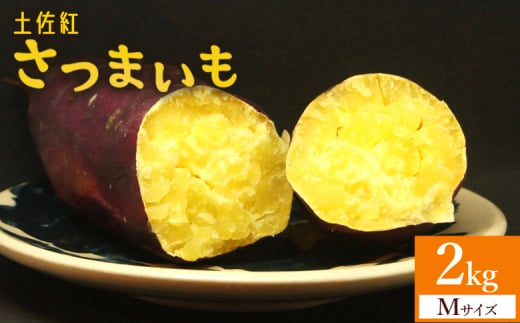 【土佐紅】さつまいも Mサイズ 2kg - サツマイモ さつま芋 野菜 焼き芋 やきいも 焼いも 蒸し芋 おやつ スイーツ スイートポテト 国産 アスタ農園 さつまいも at-0001