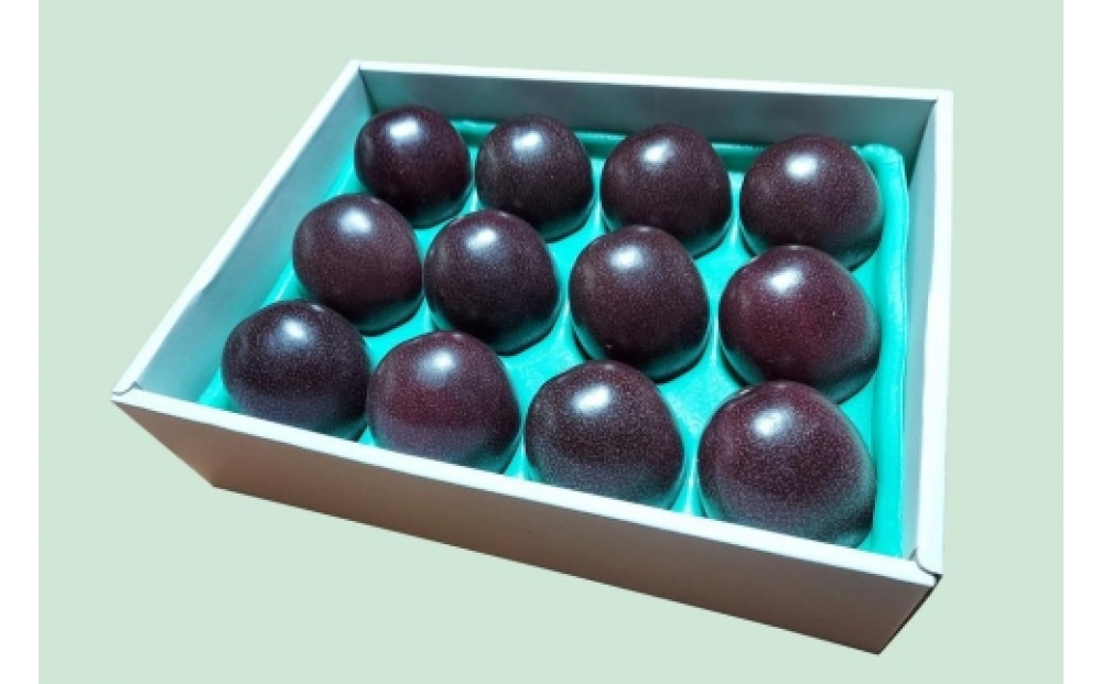 【2027年発送分 先行受付】パッションフルーツ 化粧箱12個入り(L玉)×12箱【たけはら農園】