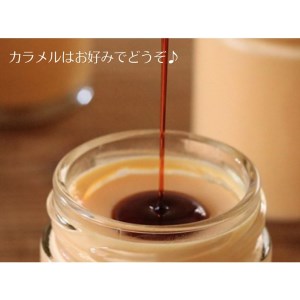 AA018_ 道の駅ましこオリジナル　とろたまぷりん8個セット　とろたま ブリュレ クレームブリュレ たまご ぷりん プリン 90g×8個