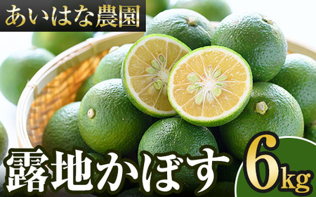 ＜先行予約受付中！2026年8月上旬以降順次発送予定＞露地カボス(約6kg)かぼす カボス 柑橘 特産品 大分県産【107100503】【あいはな農園】