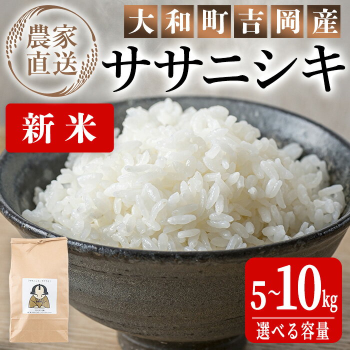 【ふるさと納税】＜先行予約！2025年9月下旬から順次発送予定＞【令和7年産 新米】お米農家直送！ササニシキ 5kg・10kg 選べる容量 お米 おこめ 米 コメ 白米 ご飯 ごはん おにぎり 宮城米 ささにしき 新米 令和7年産 お弁当 【お米農家ろくすみファーム】 ta291・ta522