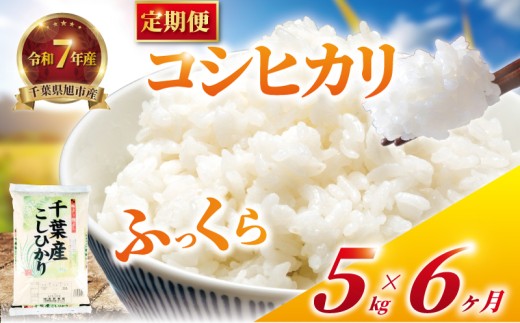 【 定期便6回 】 令和7年産 コシヒカリ 定期便 30kg 全6回 5kg×6回 6ヶ月 こしひかり 精米 コメ お米 こめ ライス 白米 ご飯 ごはん R7米 R7 令和7年 7年産 令和7年産米 kome 2025 国産 千葉県産 備蓄 家庭用 産地直送 千葉県 旭市 有限会社髙野商店 tst006