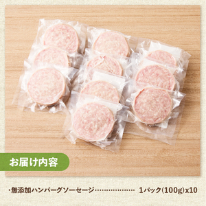 無添加ハンバーグソーセージ（100g×10パック入り）ウインナー  10パック バーベキュー キャンプ パーティー 手作り フランク オールポーク 豚肉100％ 天然腸 山梨県 白州 北杜市 [h03