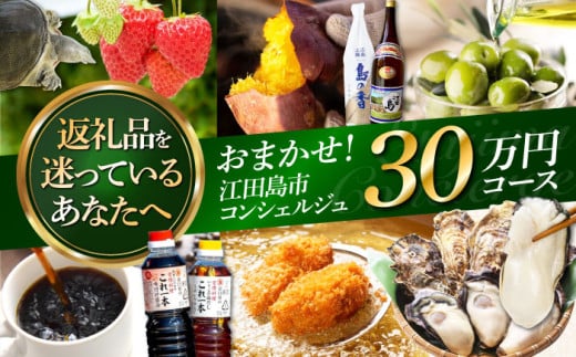 【江田島市コンシェルジュ】返礼品おまかせ！寄附額30万円コース ギフト カタログ あとから カタログ カタログギフト 牡蠣 カキ かき オリーブオイル 柑橘 カレー フルーツ さつまいも すっぽん ス