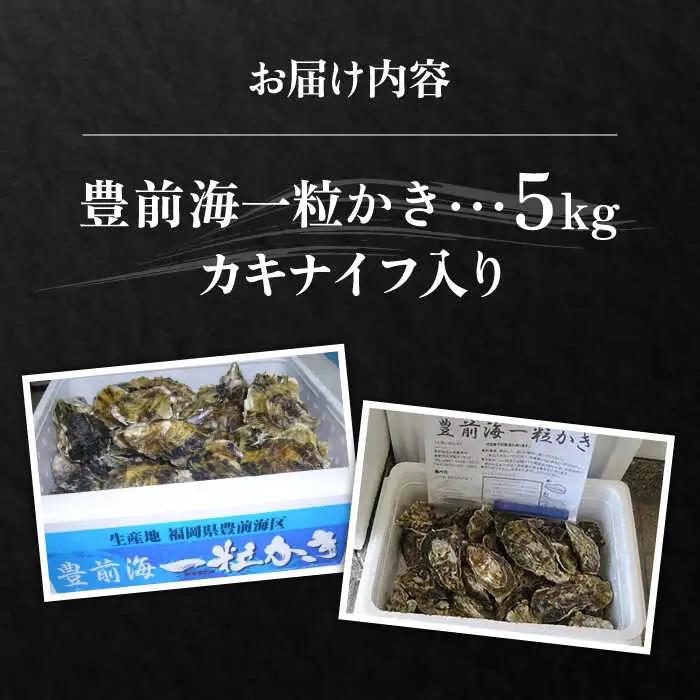 【先行予約】豊前海一粒かき 5kg VAG010 牡蠣