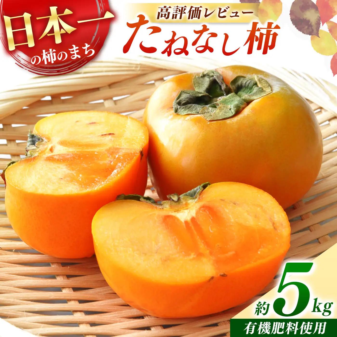  【 先行予約 】 たねなし柿 約5kg | フルーツ くだもの 果物 柿 かき カキ 奈良県 五條市 家庭用 自宅用 どっさり たっぷり 種なし 種無し 種なし柿 産地直送 国産 人気 送料無料 甘い グルメ お取り寄せ 大容量 ビタミン 食物繊維 豊富 美容 健康 10月 11月 | 奈良県 五條市