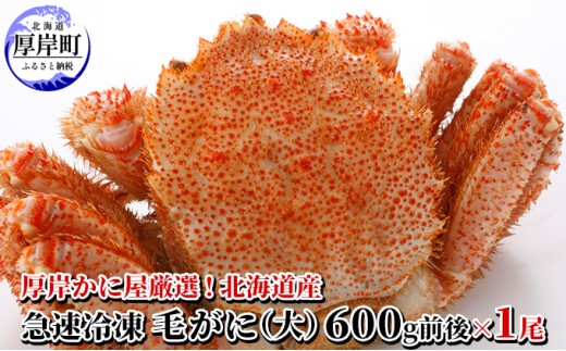 
                  カニ かに屋厳選 北海道産 急速冷凍 毛ガニ 600前後 1尾【馬場商店】[ カニ 蟹 毛ガニ かに 魚介 毛蟹 ]  [№5863-0642]
                