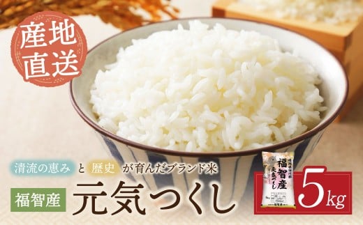 W39-02 福智町産ブランド米(元気つくし 5kg)  お米 米 こめ コメ ブランド米 白米 人気 おすすめ 元気つくし げんきつくし 福岡県産米 食料品 日常 福岡県 