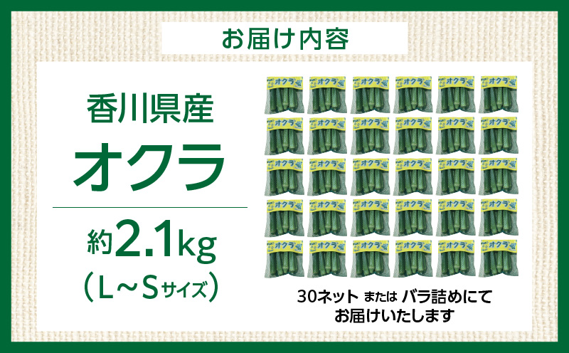 オクラ 約2.1kg |オクラ 野菜 ネバネバ 旬の野菜 旬 季節の野菜 季節 贈答 贈り物 ギフト プレゼント おすそ分け グルメ お取り寄せ 人気 おすすめ 特産 特産品 生鮮食品 香川県 三木町