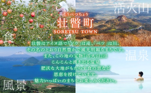 壮瞥町りんご大使2026「木下ひなた」りんごまつりグッズ３アイテムセット SBTAL014