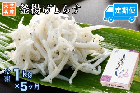 定期便 釜揚げしらす (1kg×5か月)  しらす _AG043