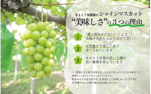 【訳あり】シャインマスカット ご家庭用/約2.2kg (岡山県産) 食べ応え満足便!