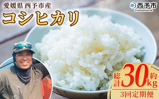 ＜愛媛県西予市産 コシヒカリ 10kg（3回定期便）＞ 定期便 国産 愛媛県産 宇和町産 こしひかり お米 米 コメ こめ 白米 精米 ご飯 新鮮 10キロ 特産品 もとき農園 愛媛県 西予市【常温】『2025年10月・11月頃から順次発送予定』