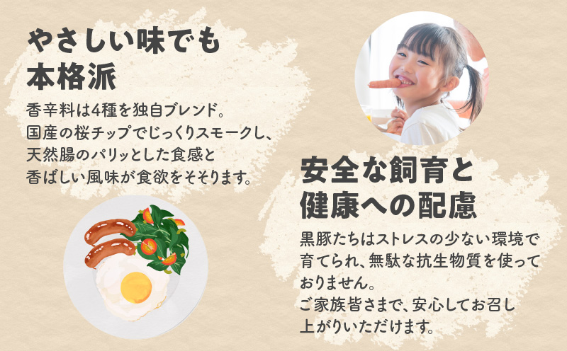 アベル牧場黒豚無塩せきウィンナー 12パック　K356-001