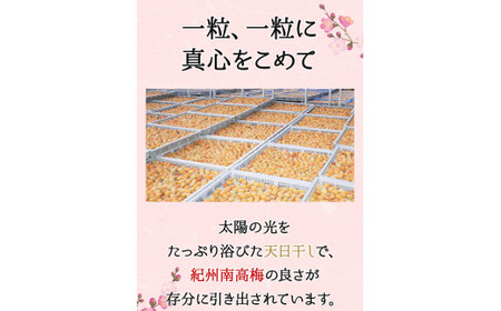 そのまんま白干梅 A級品 計1kg（250g×4個） / 梅干し 梅干 梅 和歌山 和歌山県産 田辺市 紀州南高梅 南高梅 白干し梅 無添加 しょっぱい梅干し 昔ながらの梅干し なつかしい A級【kf