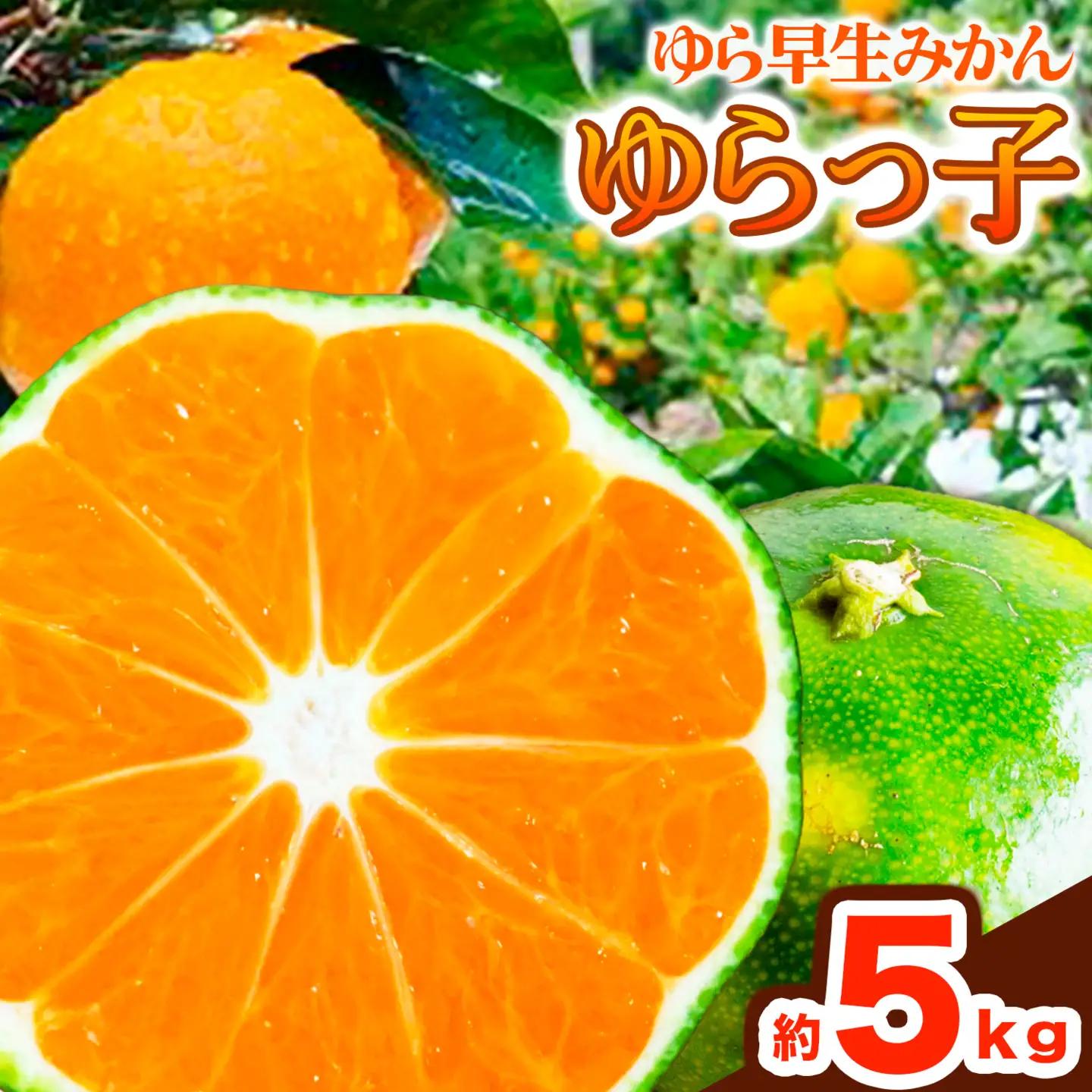 ゆら早生 みかん「ゆらっ子」 約5kg JA紀州産直店 さわやか日高（日高川町）みかん