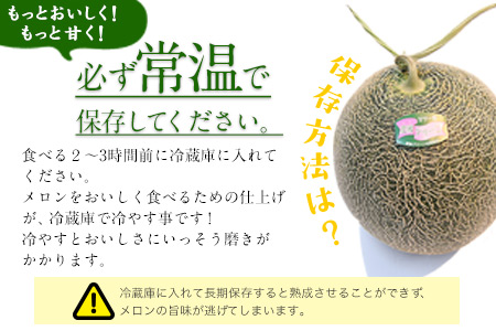 【先行予約】「ミヤザキファーム」 肥後グリーンメロン2玉 糖度14度以上(14度-17度) 熊本県氷川町産《6月中旬-6月末頃出荷》