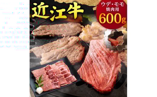 C-B06 近江牛 ウデ ・ モモ 焼肉用 600g 本多商店 牛 牛肉 国産 和牛 ブランド牛 赤身 やきにく 焼き肉 焼肉 炒め物 煮物 ギフト 贈り物 高級 人気 近江 東近江市 滋賀県