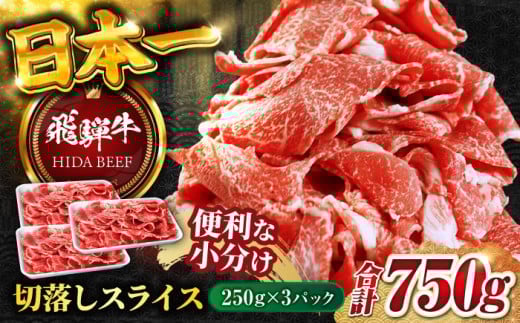 【5月発送】【飛騨牛】切り落とし スライス(250g×3) / 飛騨牛 ひだぎゅう 牛肉 ぎゅうにく 飛騨牛 和牛 焼肉 小分け 飛騨牛 岐阜市/丸福商店 [ANBO004-5]