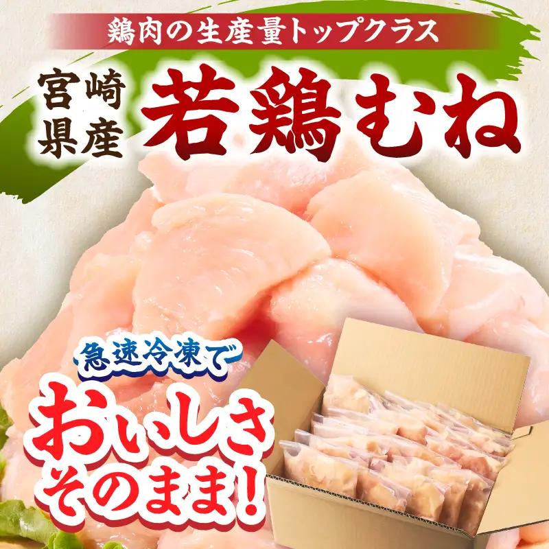 宮崎県産 若鶏切身 むね肉 6kg（300g×20袋）【6か月定期便】_b0800_it_x2