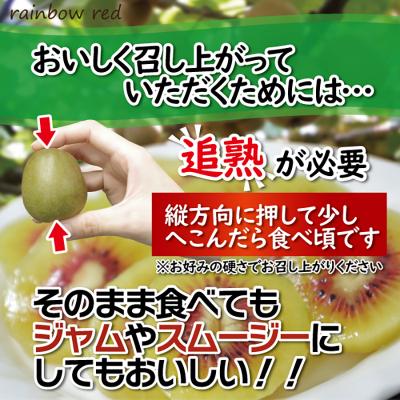 ふるさと納税 富士市 キウイフルーツ(レインボーレッド)3kg [1010] [sf001-007] |  | 02