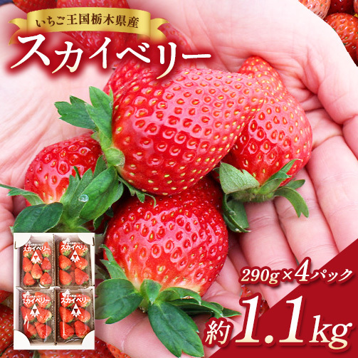 【先行予約】出会いの森いちご園 スカイベリー （290g×4パック） | いちご イチゴ 苺 栃木県 果物 くだもの フルーツ スカイベリー 新鮮 贈答 ギフト デザート スイーツ ※2026年12月～発送