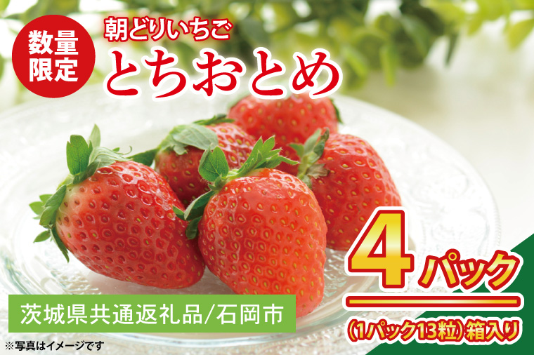 【先行予約】【数量限定】【朝どり】いちご とちおとめ４パック 2025年２月以降順次発送【茨城県共通返礼品／石岡市】【果物 くだもの フルーツ 苺 イチゴ 完熟 甘い 農家直送】（KU-1）