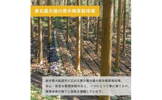 しいたけ粉 1袋 70g 椎茸15個分 香信 こうしん 干し椎茸 しいたけ 椎茸 パウダー 健康 手軽 かけるだけ ビタミン 鉄分 大船渡市 三陸 岩手 大船渡