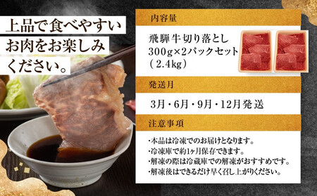 ちょっとリッチな飛騨牛（希少部位）約2.4kg【3月・6月・9月・12月発送】定期便 4回  | みすじ ウデ すき焼き しゃぶしゃぶ  希少部位 600g 和牛 国産牛 冷凍 飛騨高山 飛騨牛のこも