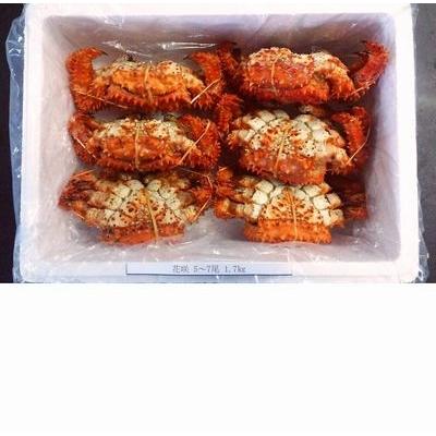 ふるさと納税 根室市 【北海道根室産】花咲ガニ5〜7尾(計1.7kg前後) A-57027 |  | 01