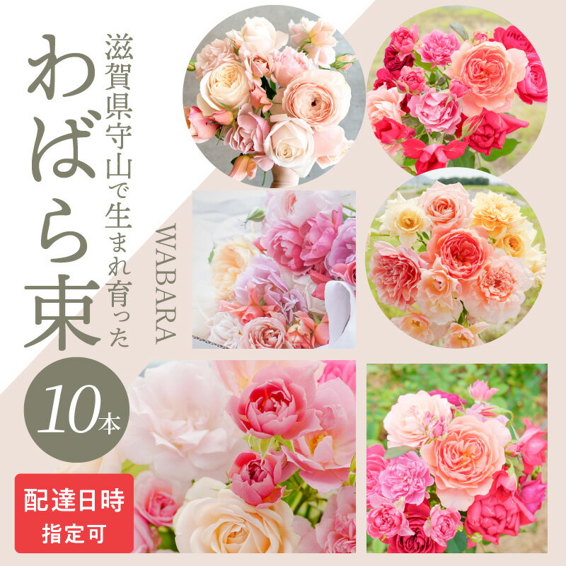 【ふるさと納税】わばら束 10本 配達日時 指定可 摘みたて ブーケ WABARA 和ばら バラ フラワーアレンジメント 花束 きれい 彩り プレゼント 贈り物 記念日 簡易包装 飾り インテリア アレンジ 1輪挿し 花 フラワー Rose Universe 冷蔵 お取り寄せ 滋賀県 守山市 送料無料