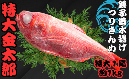 銚子釣り金目 特大金太郎 1kg 金目