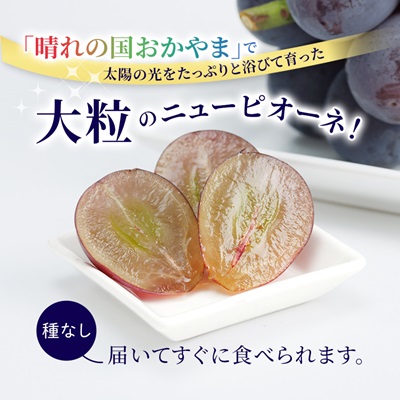 【2026年先行受付】ニューピオーネ　2kg(3房〜5房)【配送不可地域：離島】【1074126】